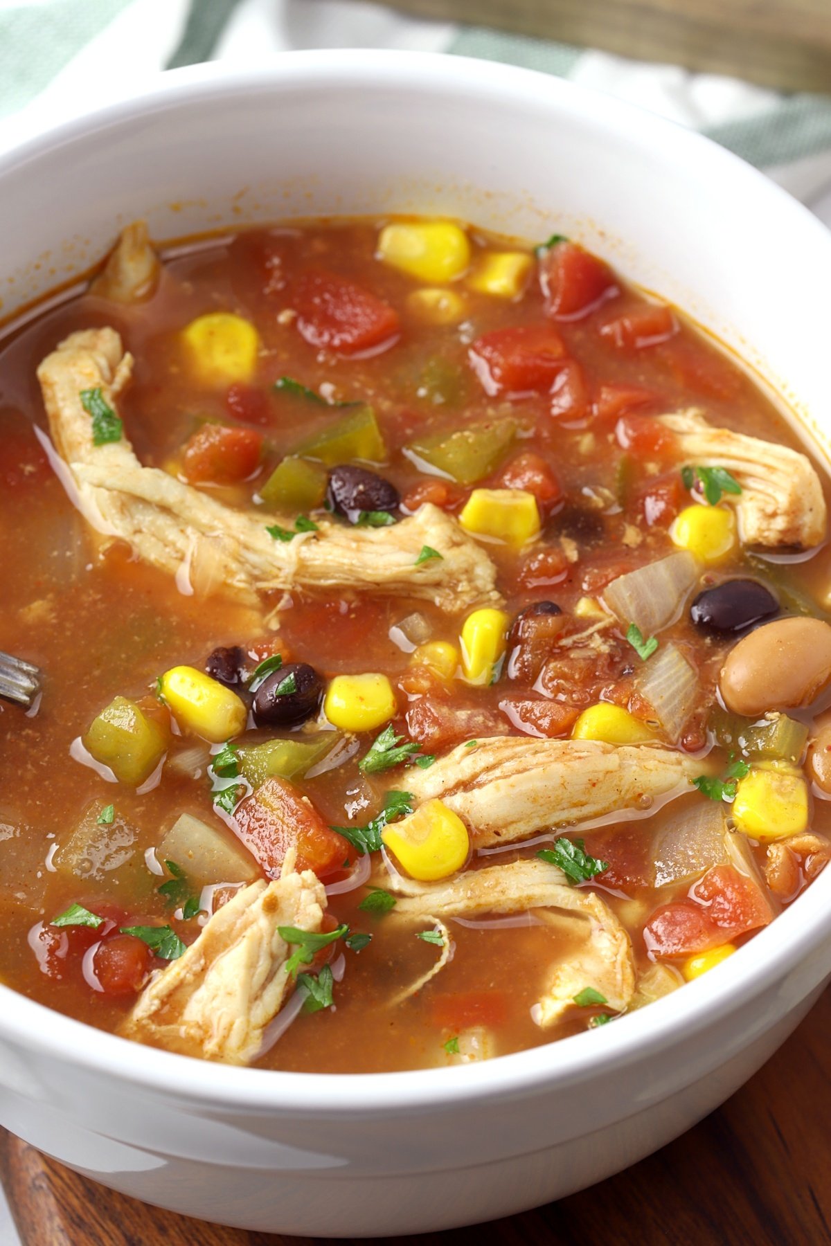 CHICKEN TEX MEX SOUP